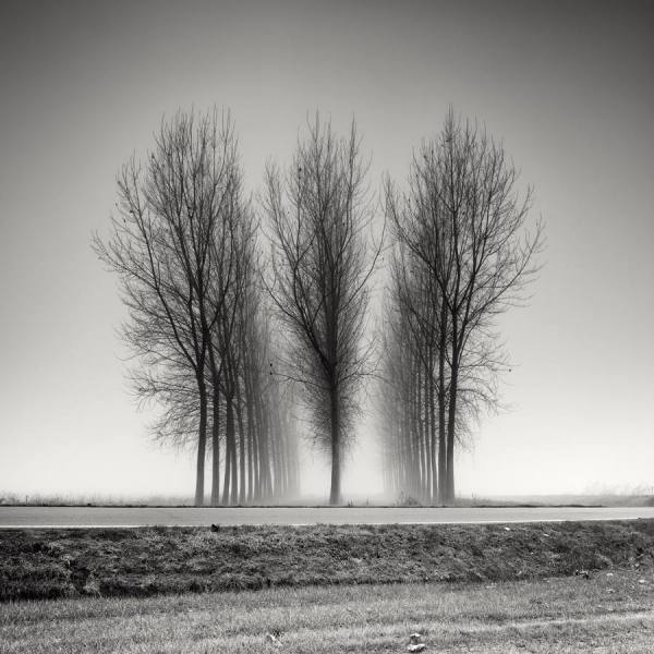 Photograph Pierre Pellegrini Three Neat Rows on One Eyeland