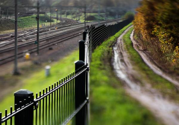 Photograph Karin Claus Tracks on One Eyeland