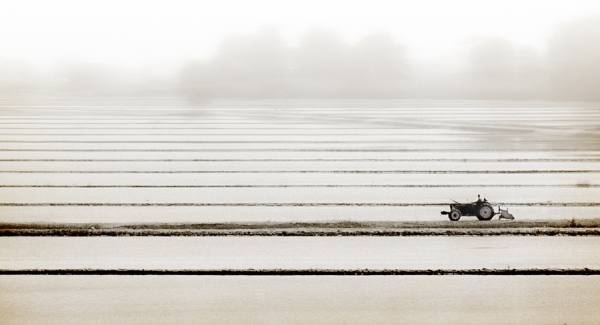 Photograph Jose Conceptes Tractor Sobre Arrozales on One Eyeland