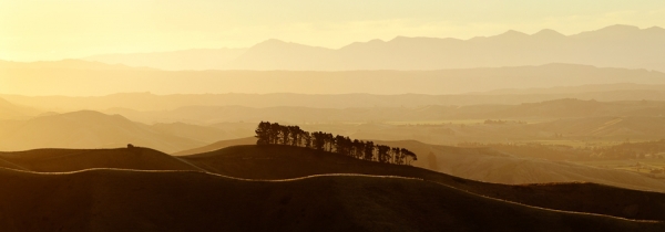 Photograph John Doogan Tree Silhouette On Ridge Line on One Eyeland