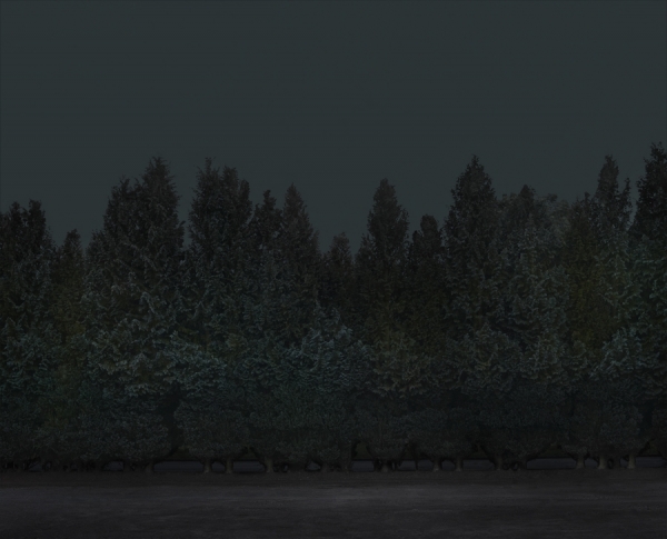 Photograph Ryan Edy Trees At Night on One Eyeland