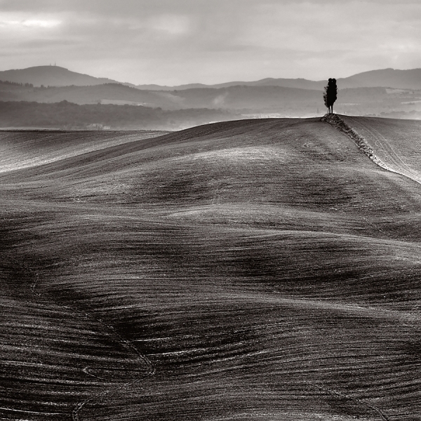 Photograph Stefano Orazzini Tuscany Dunes on One Eyeland