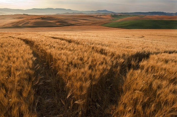 Photograph Jure Kravanja Tuscany Forever on One Eyeland