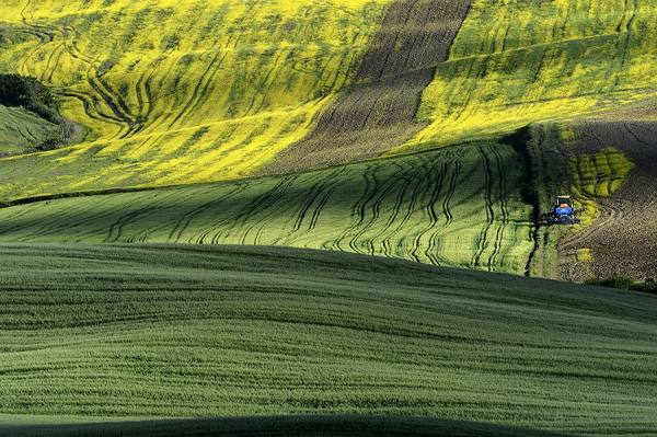 Photograph Suchet Suwanmongkol Tuscany Italy on One Eyeland