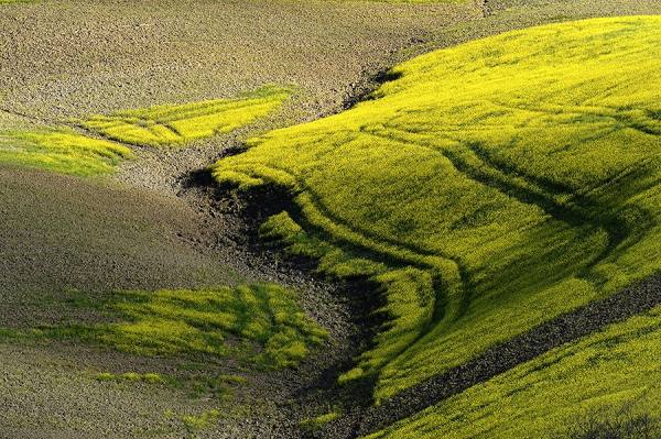 Photograph Suchet Suwanmongkol Tuscany Italy on One Eyeland