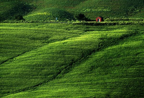 Photograph Suchet Suwanmongkol Tuscany Italy on One Eyeland