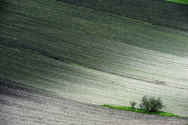 Photograph Suchet Suwanmongkol Umbria Italy on One Eyeland