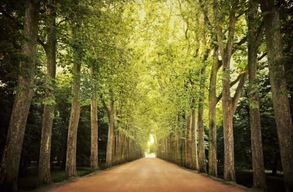 Photograph Jimmy Williams Vanishing Point Loire on One Eyeland