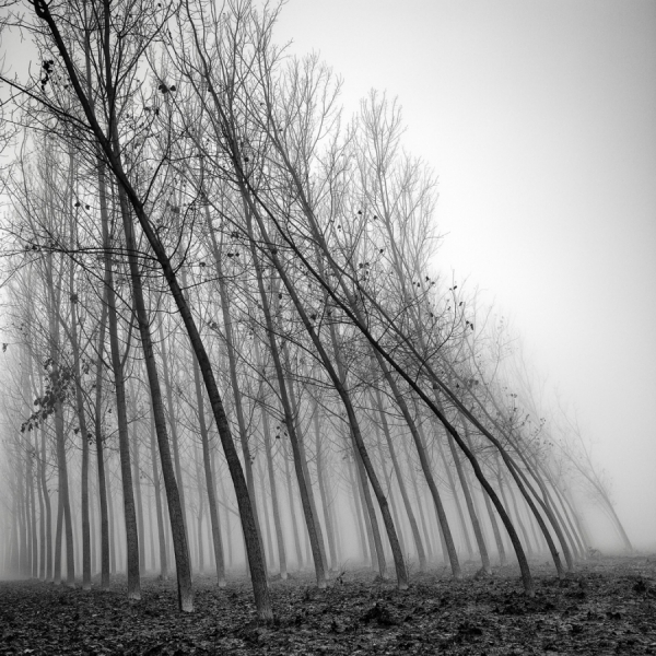Photograph Pierre Pellegrini Water And Wind The Force Of Nature on One Eyeland