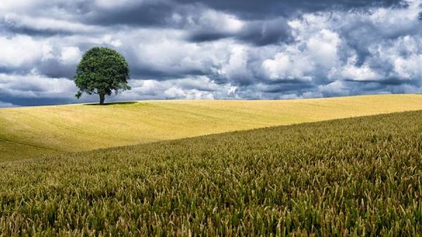 Photograph Chris Goddard Welsh Farmfields on One Eyeland