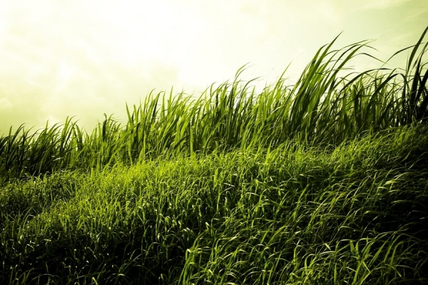 Photograph Kedar Malegaonkar Wind on One Eyeland