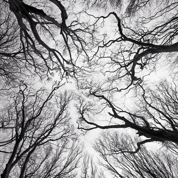Photograph Rafa Herrero Winter on One Eyeland