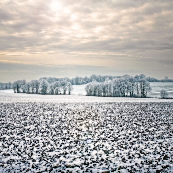 Photograph Andy Harrison Winter Farming on One Eyeland