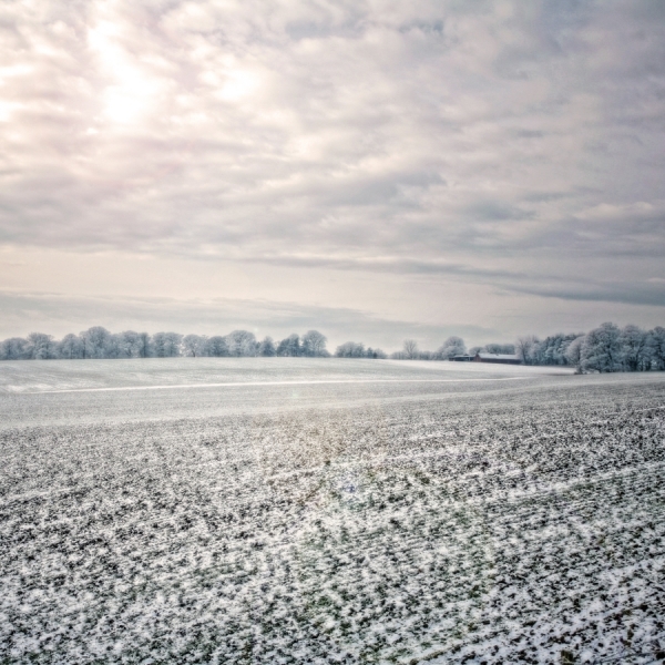 Photograph Andy Harrison Winter Farming on One Eyeland