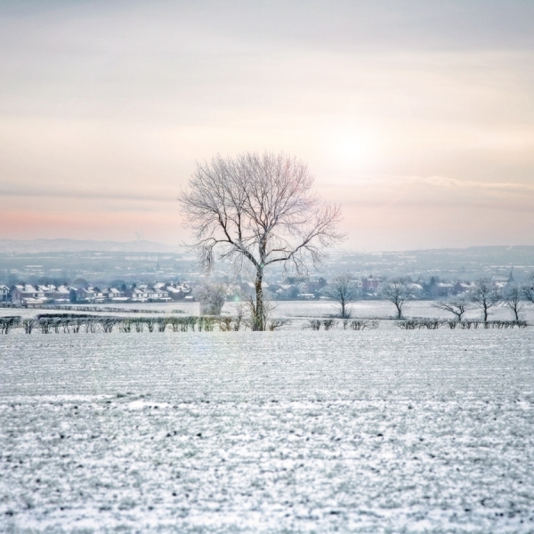 Photograph Andy Harrison Winter Farming on One Eyeland