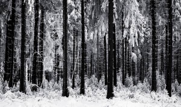 Photograph Karin Claus Winter Lines on One Eyeland