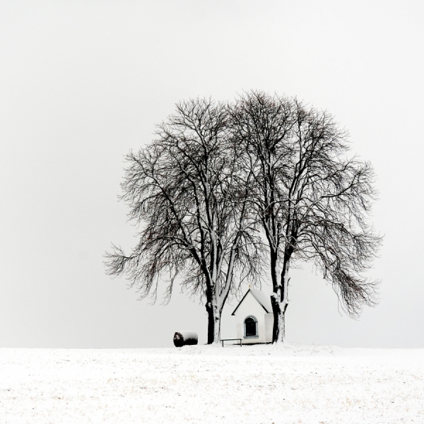 Photograph Edgar Barany Winter Series 001 on One Eyeland