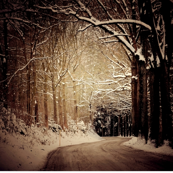 Photograph Edgar Barany Winter Series 002 on One Eyeland