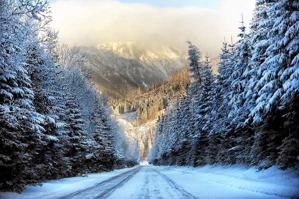 Photograph Edgar Barany Winter Series 08 on One Eyeland