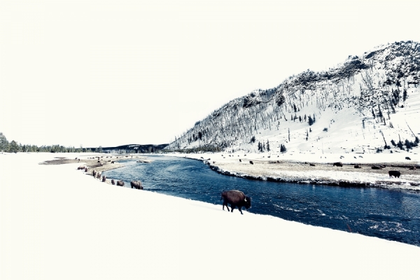 Photograph Christopher Wilson Yellowstone on One Eyeland