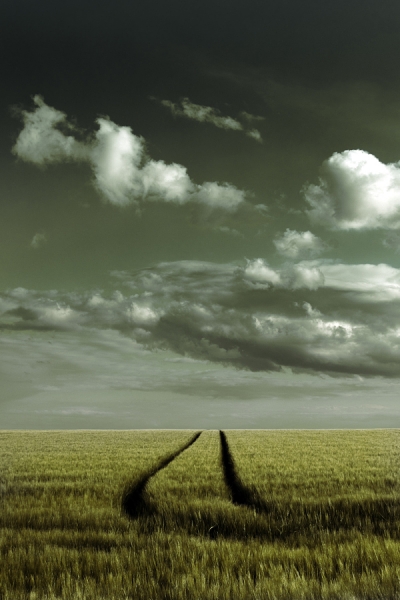Photograph Niels Christian Wulff Dry on One Eyeland