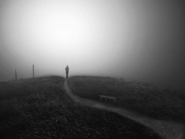 Photograph David Senechal Polydactyle Chemin Des Brumes Ii on One Eyeland