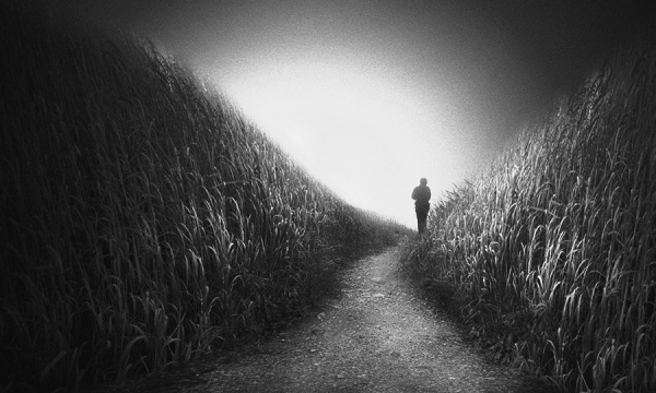 Photograph David Senechal Polydactyle Chmin Des Brumes Iv on One Eyeland