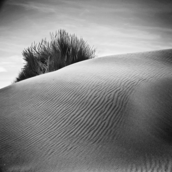 Photograph Samuel Moulin In Peace Ii on One Eyeland