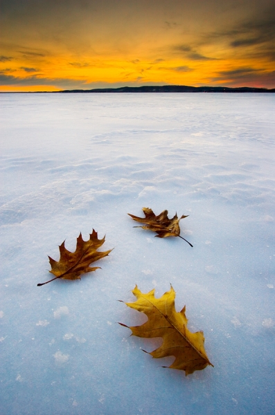 Photograph Patrick Di Fruscia Fallen Seasons on One Eyeland