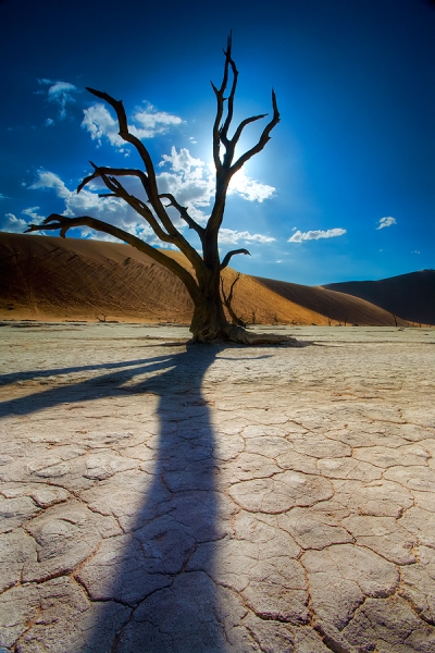 Photograph Patrick Di Fruscia Lifeless Shadow on One Eyeland