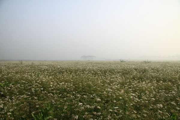 Photograph Aniruddha Ghosh Waiting For The Sun on One Eyeland