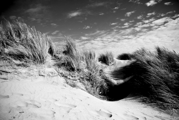 Photograph Kinga Gergely Dunes on One Eyeland