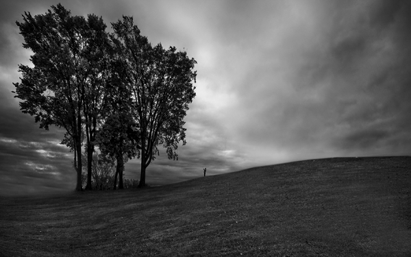 Photograph David Senechal Polydactyle Men And Trees on One Eyeland