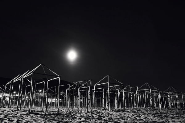 Photograph Luis Belo Wood Skeletons on One Eyeland