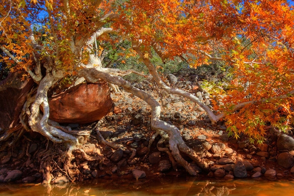 Photograph Scott Bell Sedona 1 on One Eyeland