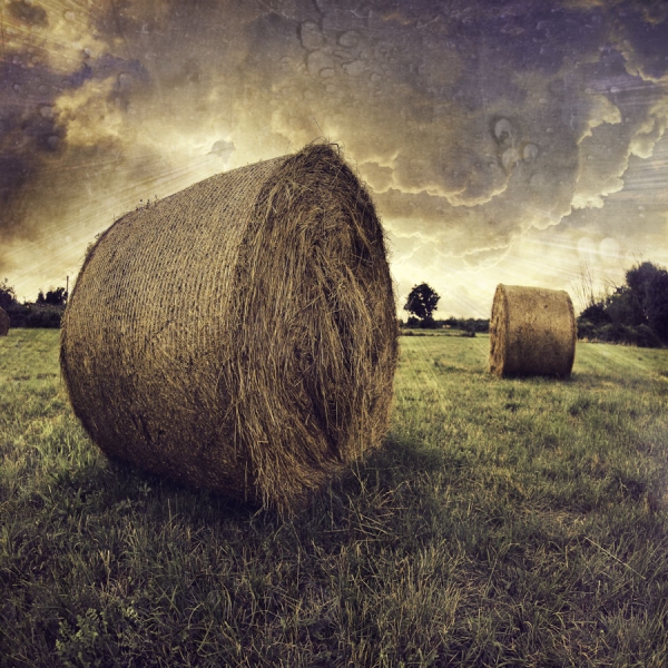 Photograph Samuel Moulin Late Harvest on One Eyeland