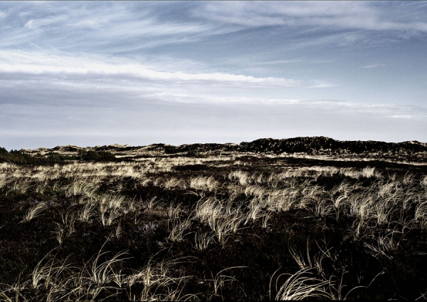 Photograph Egon Gade West on One Eyeland