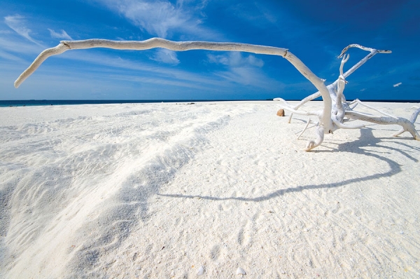 Photograph Nicola Zingarelli White On Blue on One Eyeland