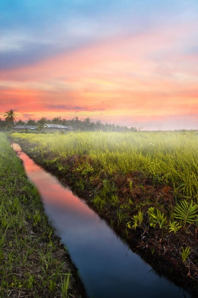 Photograph Victor Lin The Field on One Eyeland