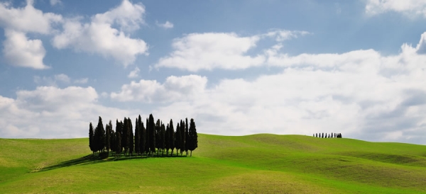 Photograph Vincenzo Sagnotti Oasis on One Eyeland