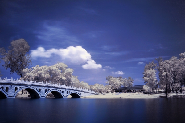 Photograph Joseph Meng Huat Goh Chinese Garden Ir on One Eyeland