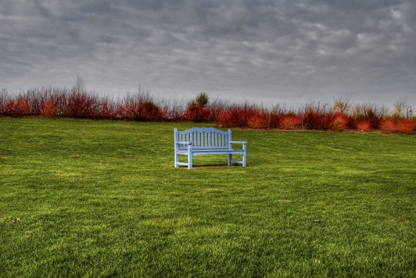 Photograph Marco Moroni Blue Bench on One Eyeland