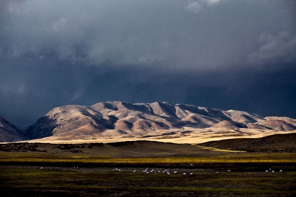 Photograph Lakshman Rawat Mansarovar_002 on One Eyeland