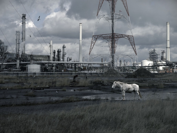 Photograph Geert De Taeye Scheldelaan on One Eyeland