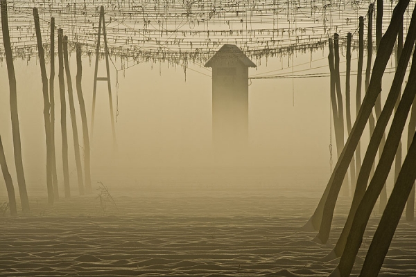Photograph Jure Kravanja Morning In Lines on One Eyeland