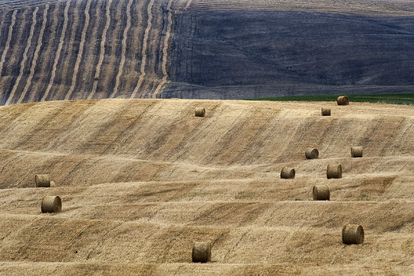 Photograph Jure Kravanja Felicita Pura on One Eyeland