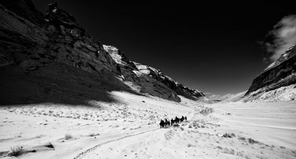 Photograph Lakshman Rawat Far And Away_001 on One Eyeland