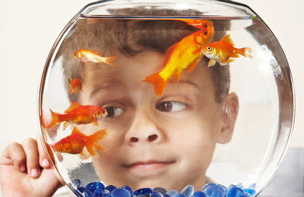 Photograph Tony Garcia Fishbowl on One Eyeland