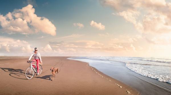 Photograph Nick Hall Beach Lifestyle Ii on One Eyeland