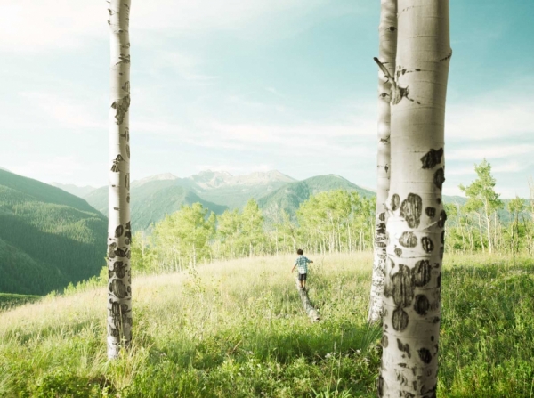Photograph Brian Bailey Beaver Creek Meadow on One Eyeland